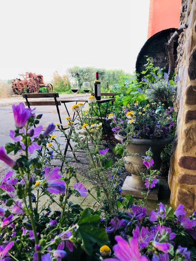 Cabana Del Tio Pepe Ainzon ภายนอก รูปภาพ